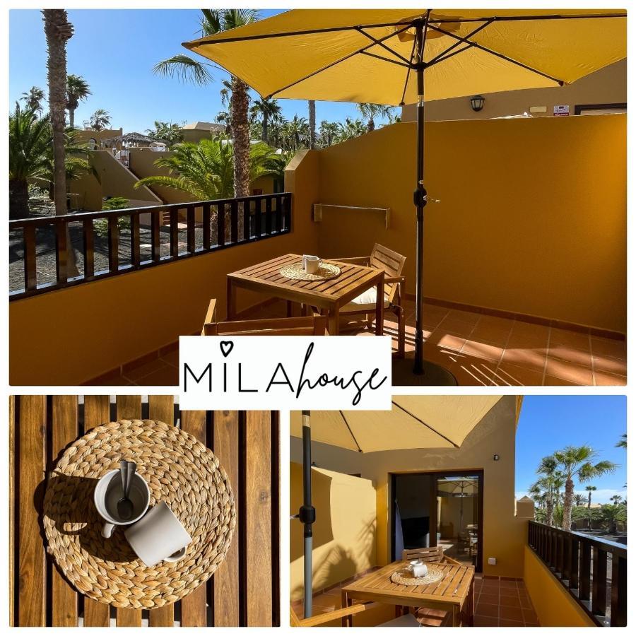 Appartement Amazing Oasi Casa Mila Wifi Free By Rentalfue