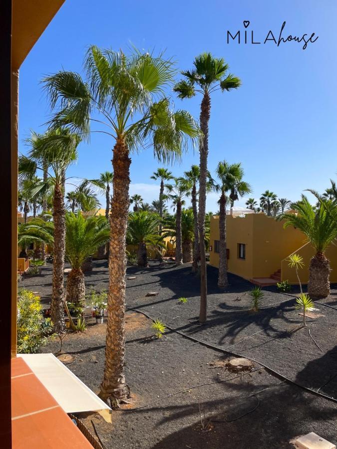 Amazing Oasi Casa Mila Wifi Free By Rentalfue Appartement